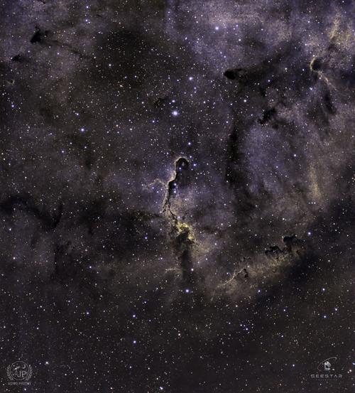 Elephant Trunk Nebula
