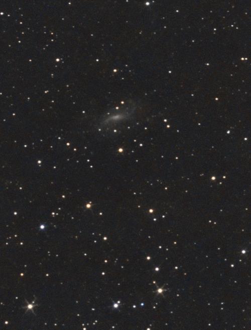 NGC   925