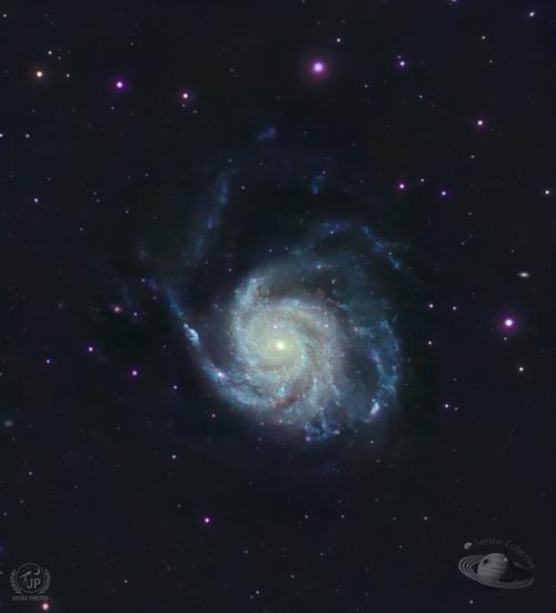 M 101