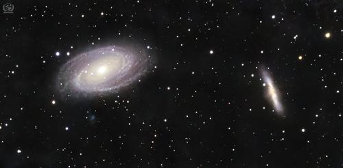 M  81