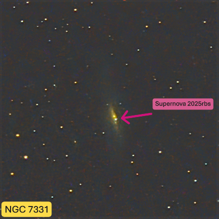 NGC  7331