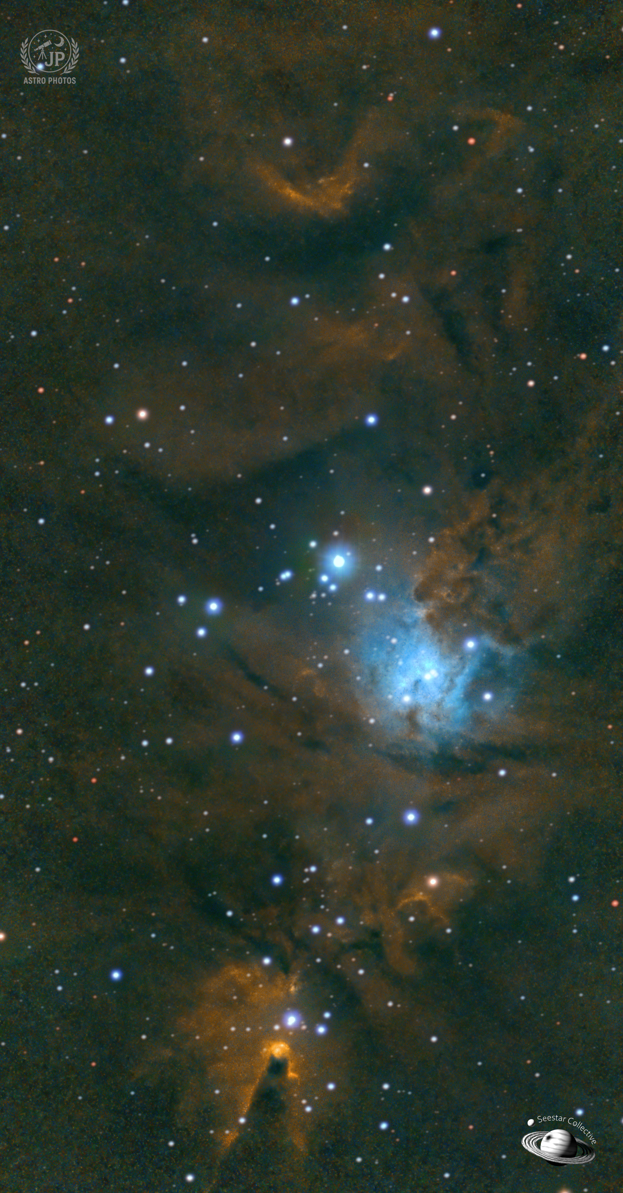 NGC  2264
