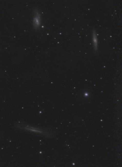M  66