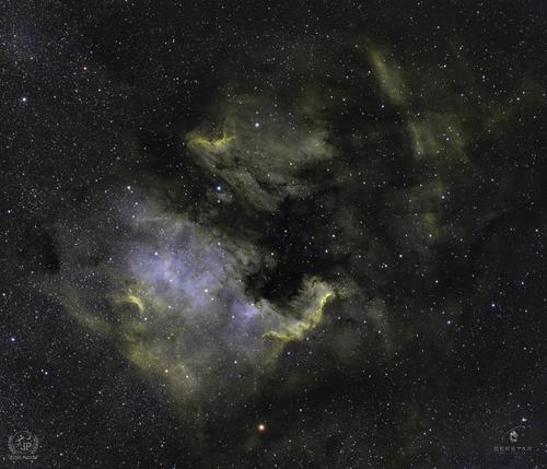 NGC  7000