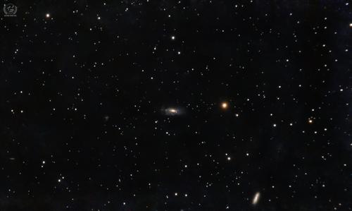NGC  5033