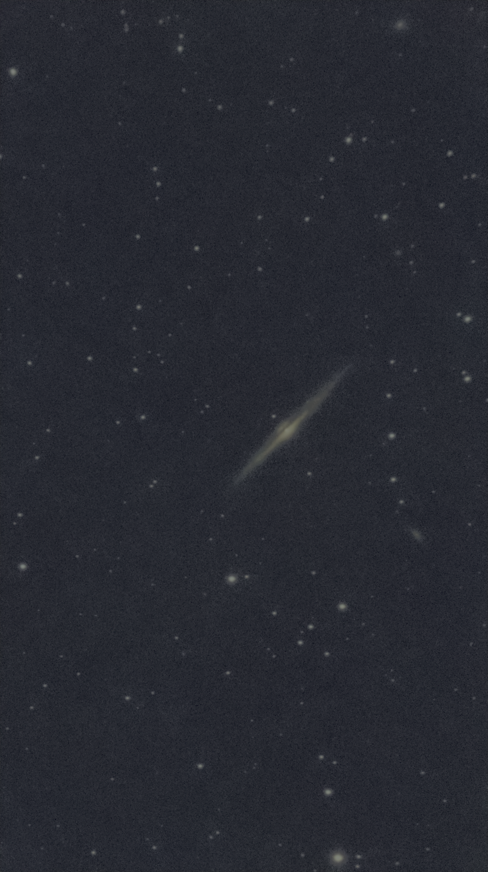 NGC  4565