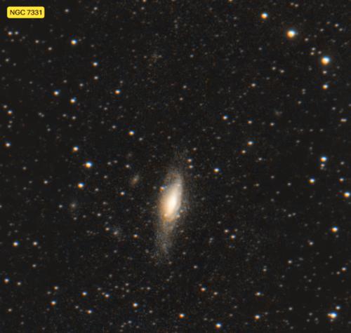 NGC  7331