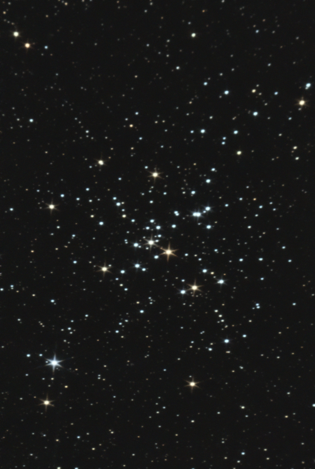 M  41