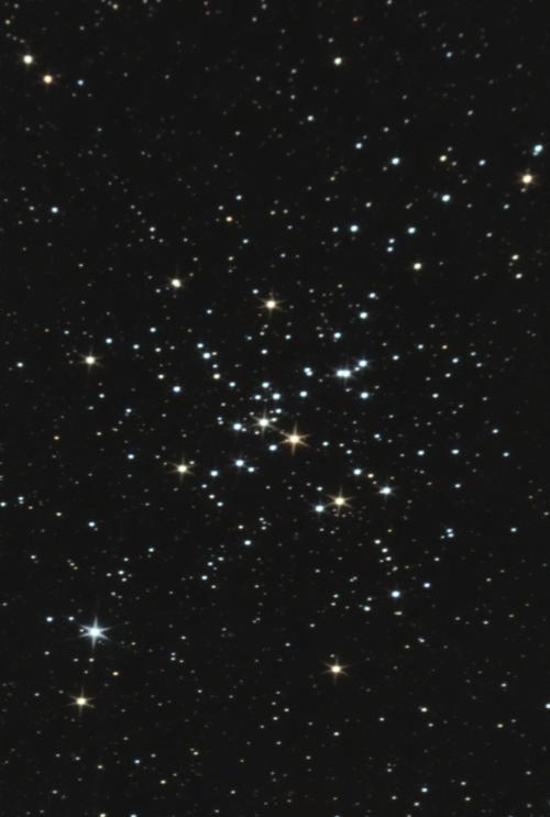 M  41