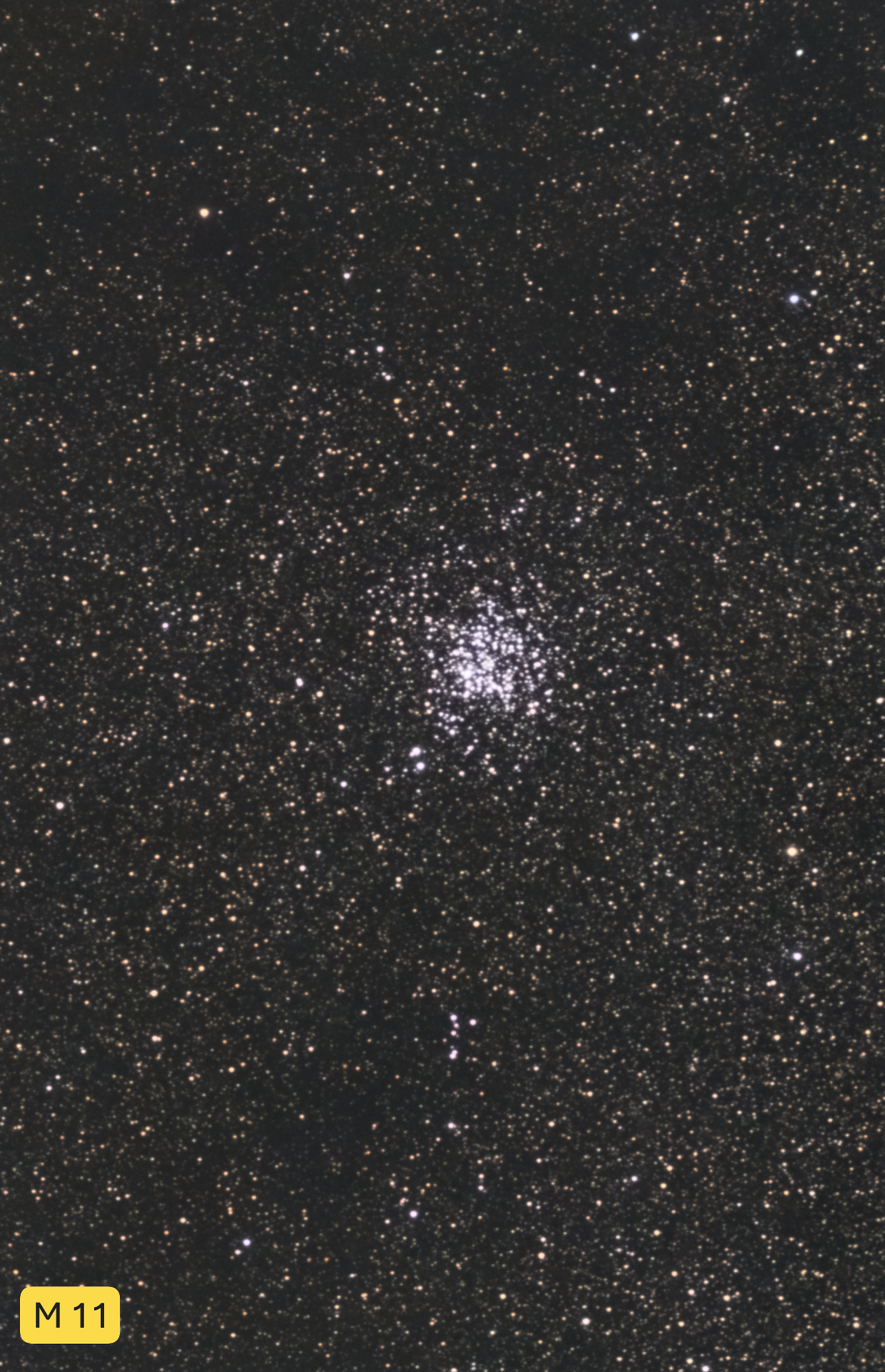 NGC  6705