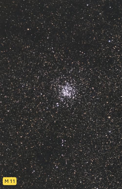 NGC  6705