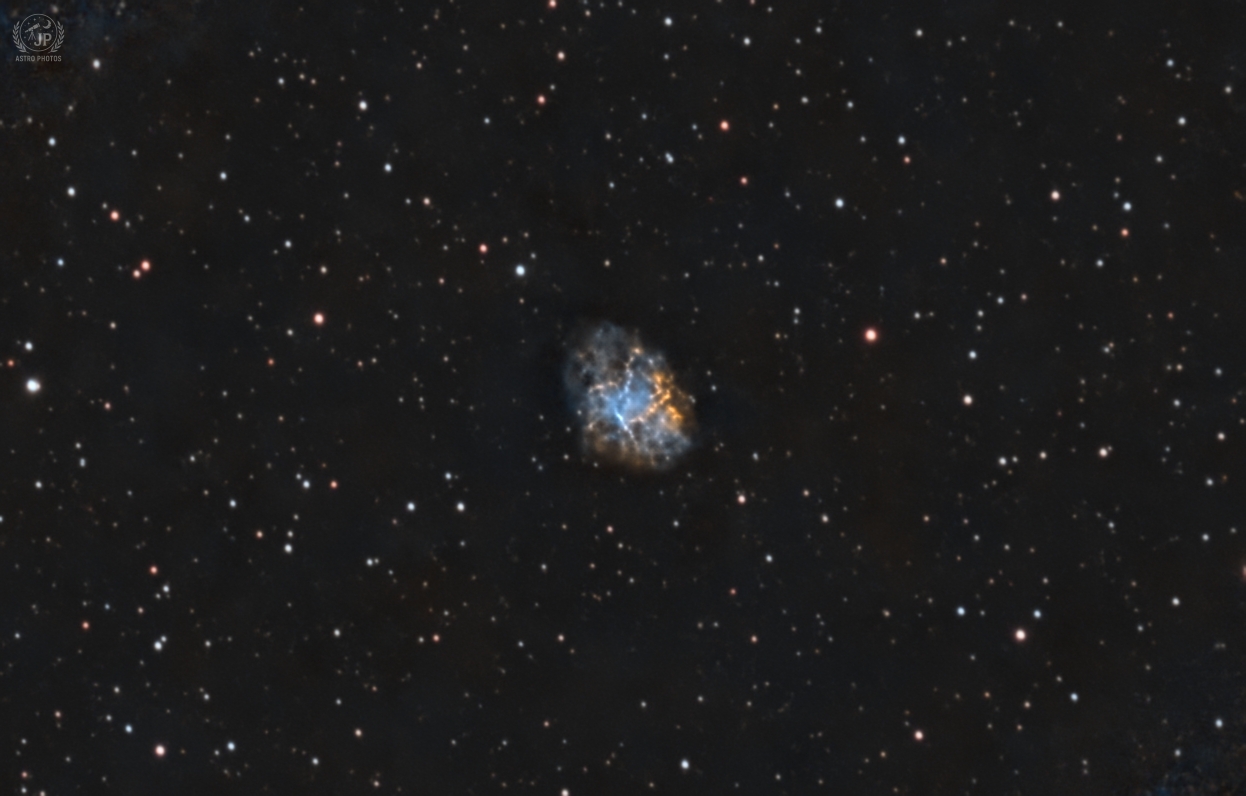 M   1