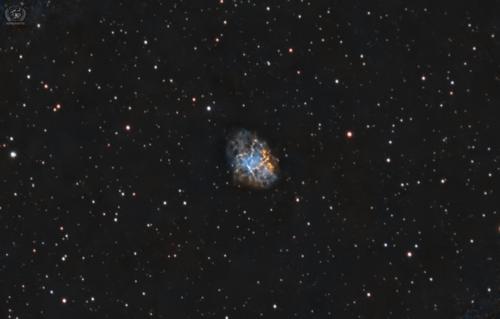 M   1