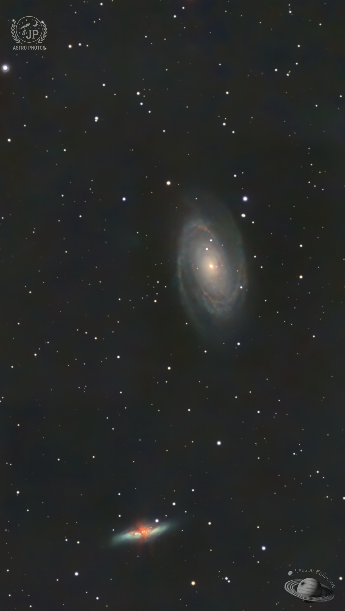 M  81