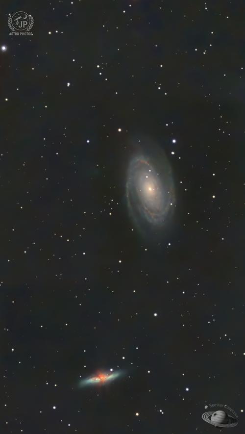 M  81