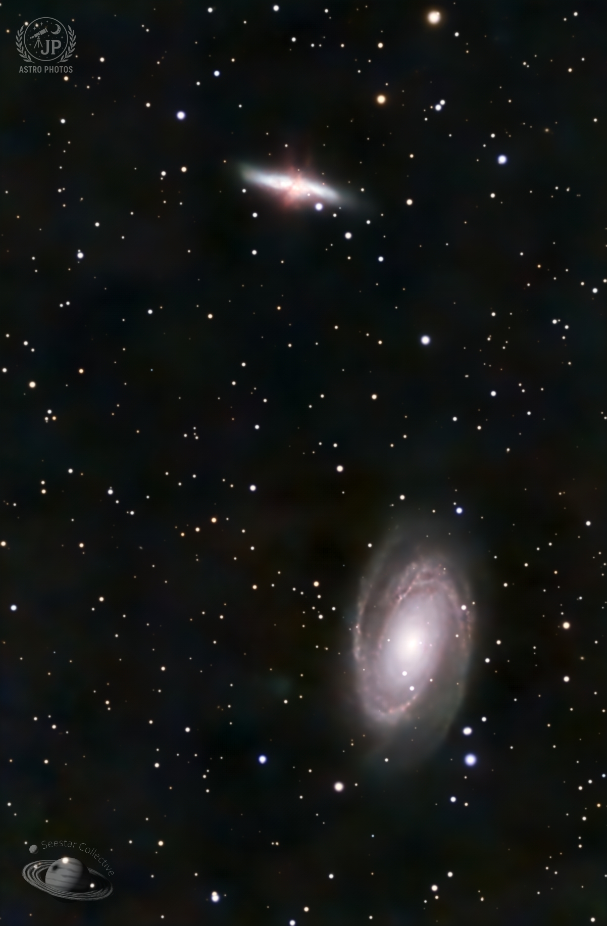 M  81