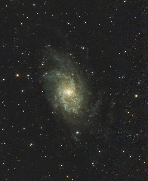 M  33