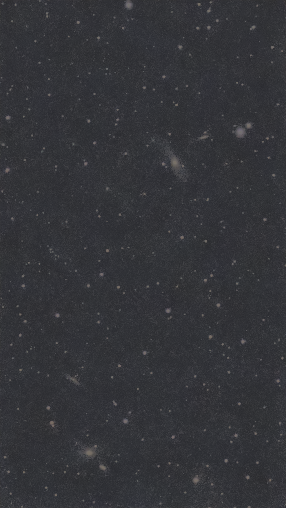 NGC  5566