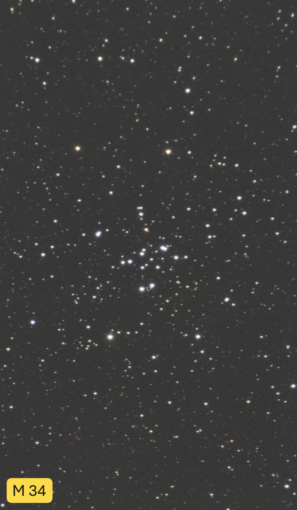 NGC  1039