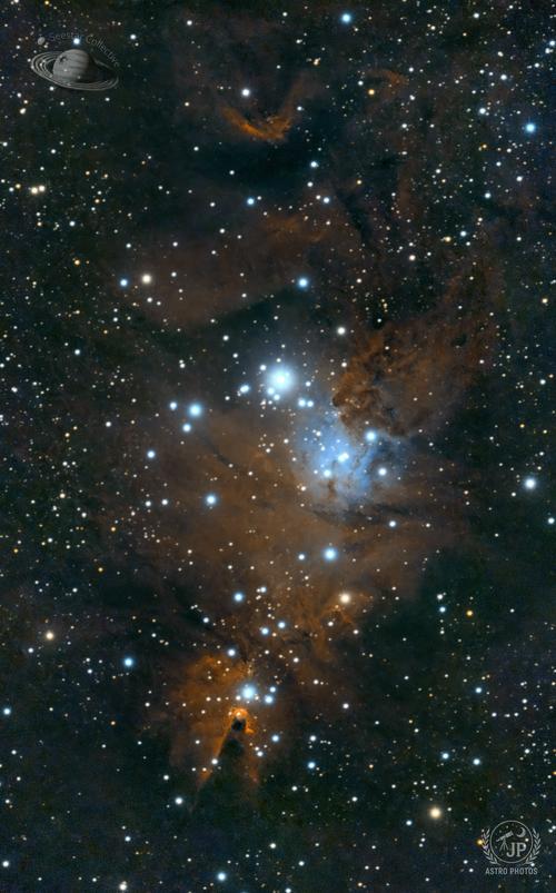 NGC  2264