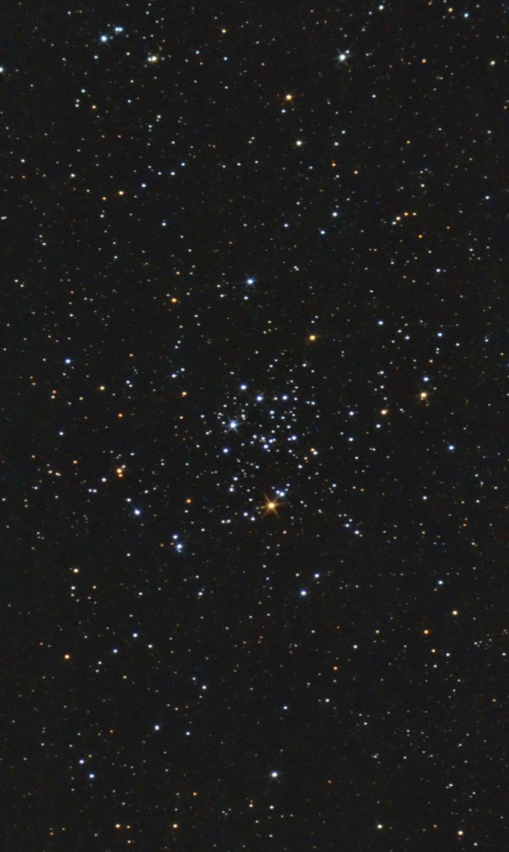 NGC  2323