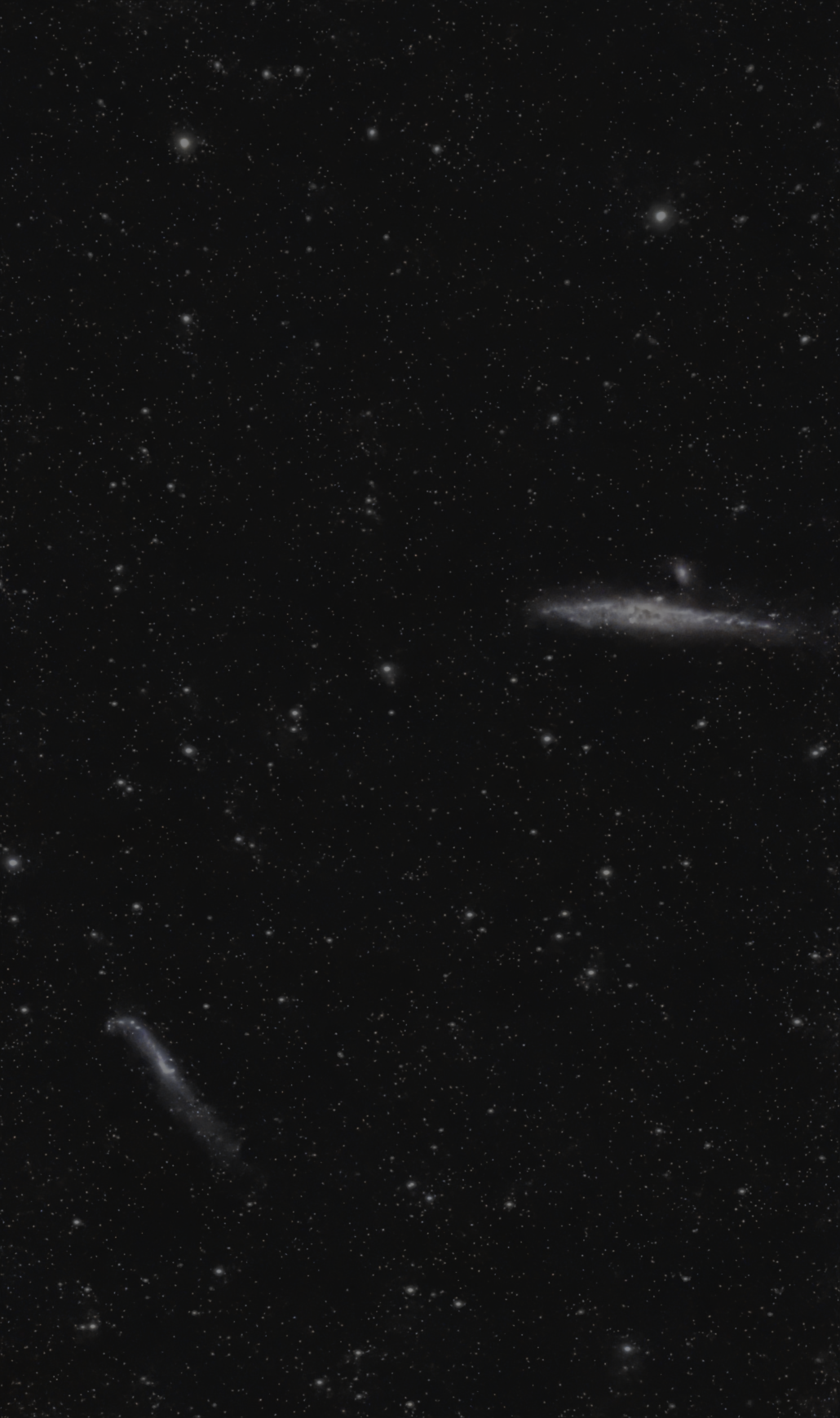 NGC  4631