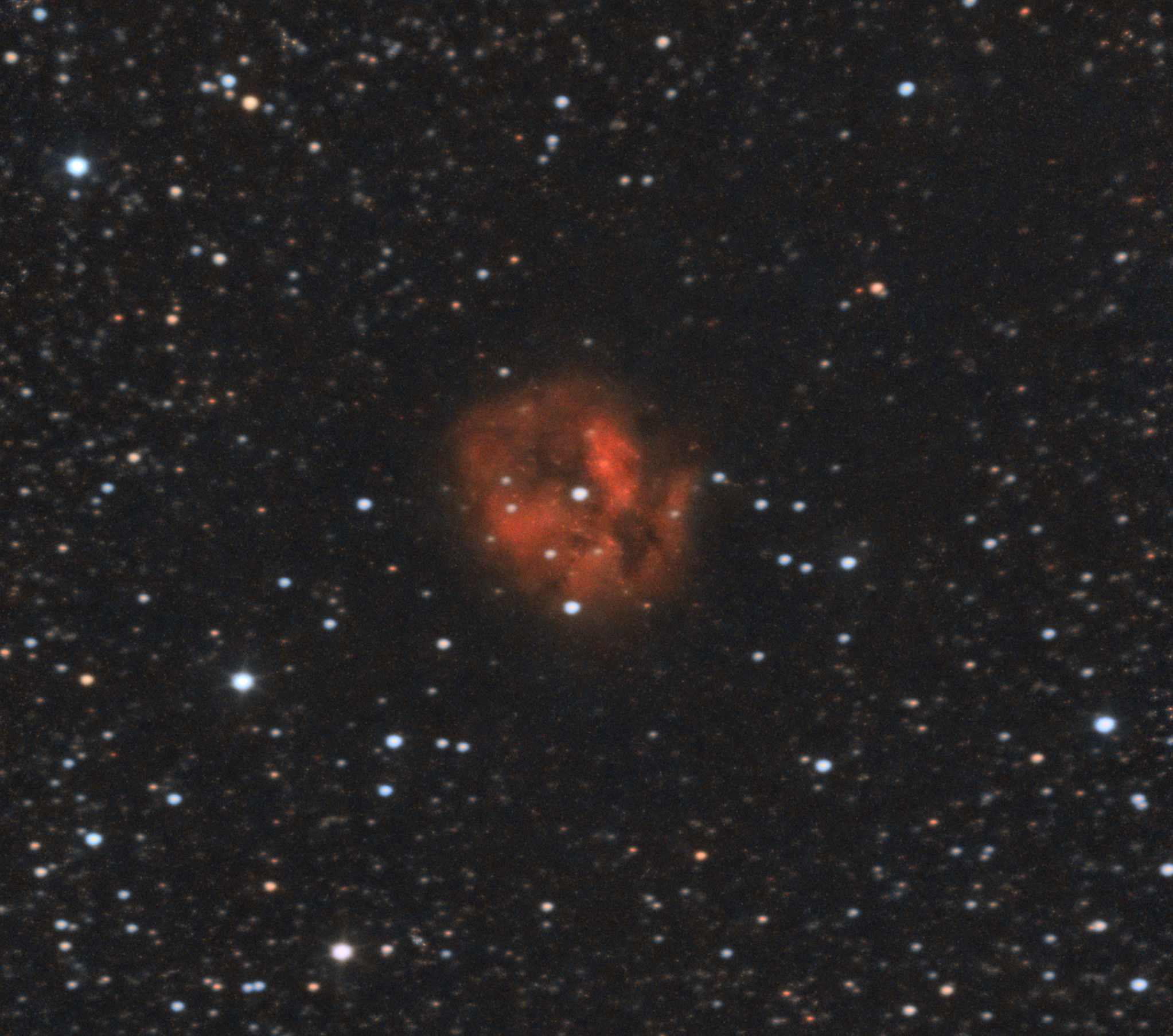 IC 5146